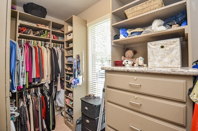 spacious closet featuring carpet