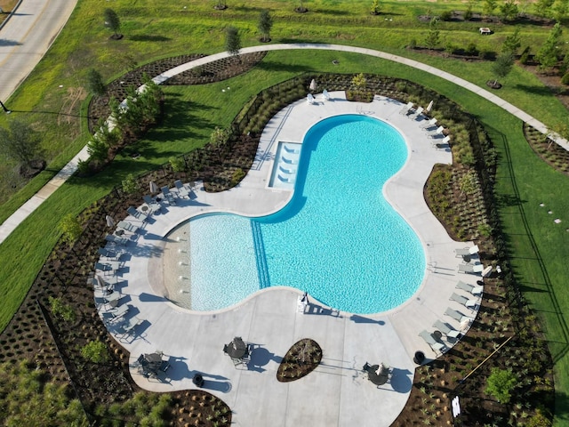 19127 Hazel Firs Ln, Magnolia, TX 77355 - view of swimming pool