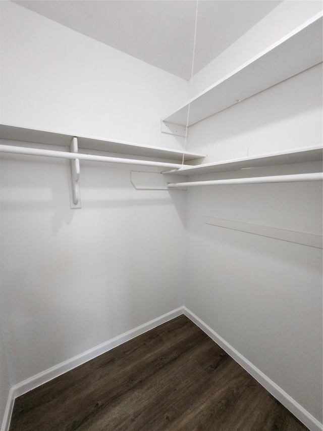 spacious closet with dark wood finished floors