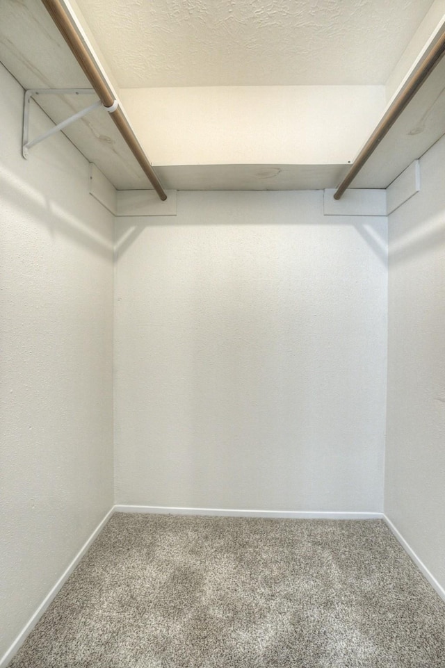 spacious closet featuring carpet flooring