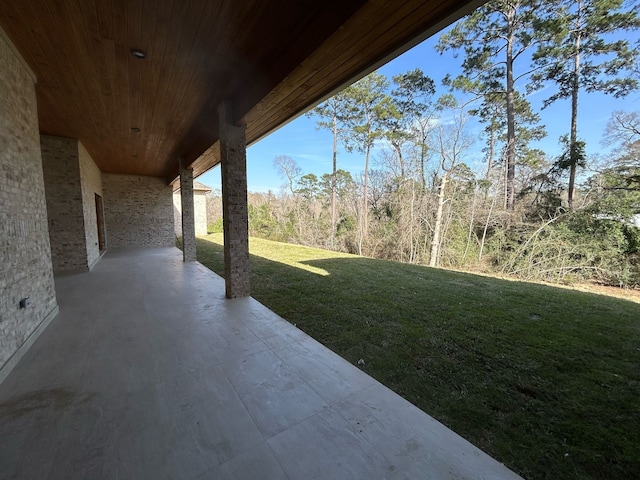 view of yard featuring a patio area