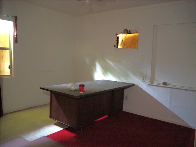 3551 Tampa St, Houston, TX 77021 - photo 7