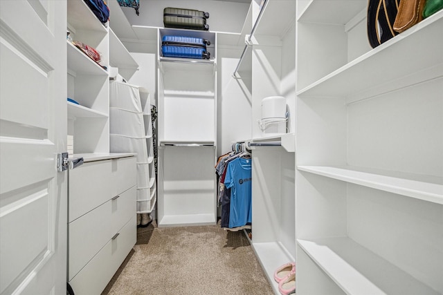 walk in closet featuring light carpet