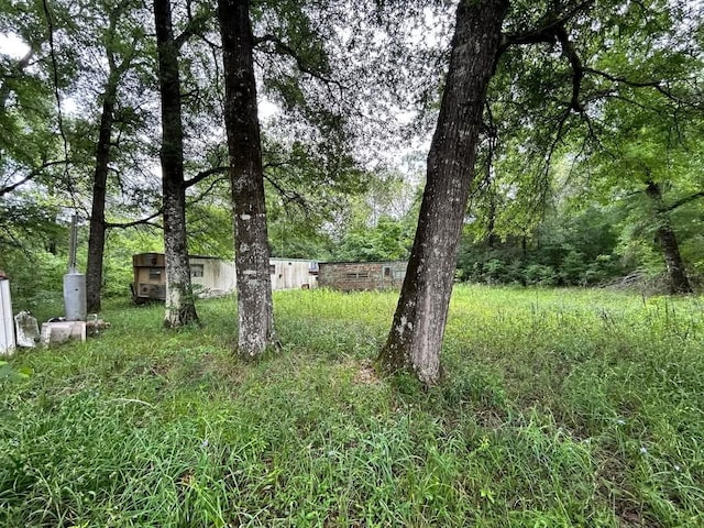 0 San Juan, Goodrich, TX 77335 - photo 3