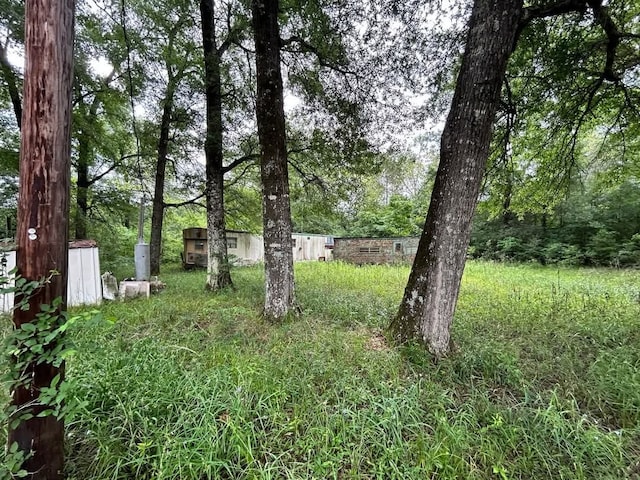 0 San Juan, Goodrich, TX 77335 - photo 5