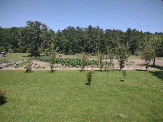 view of yard with a rural view