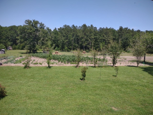 3902 Moore Cemetery Rd, Groveton, TX 75845 - view of grassy yard