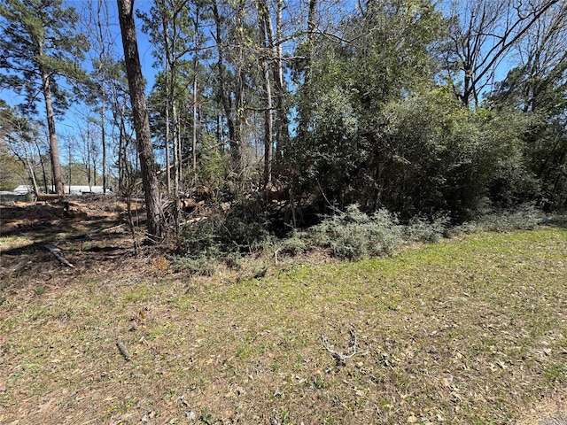 LOT206 Coushatta, Onalaska TX, 77360 land for sale