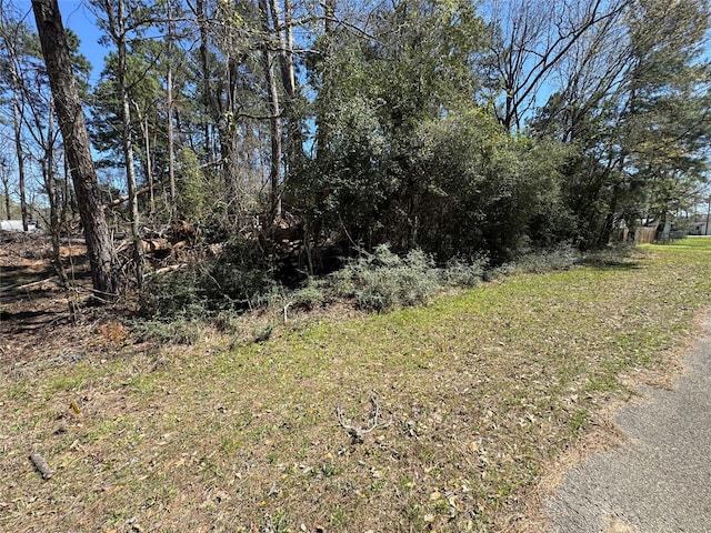 Listing photo 2 for LOT206 Coushatta, Onalaska TX 77360