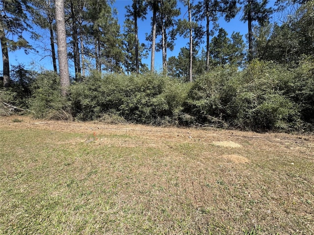 LOT145 S Canyon Dr, Onalaska TX, 77360 land for sale