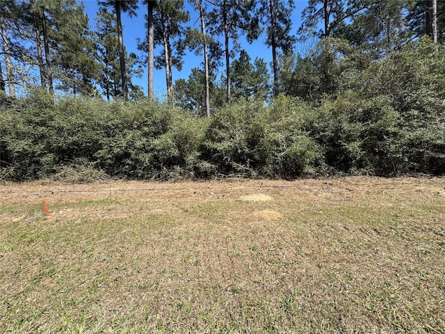 Listing photo 2 for LOT145 S Canyon Dr, Onalaska TX 77360