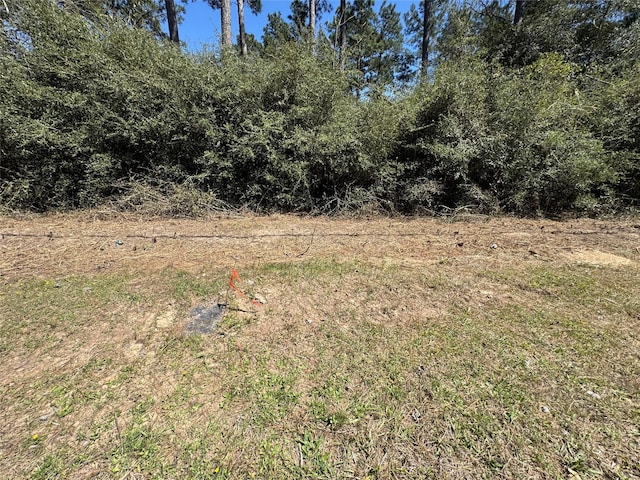 Listing photo 3 for LOT145 S Canyon Dr, Onalaska TX 77360