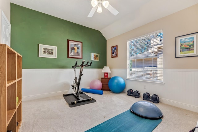 exercise area with carpet floors, wainscoting, ceiling fan, and vaulted ceiling