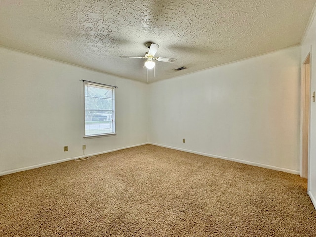 301 W Decherd St, Franklin, TX 77856 - photo 13