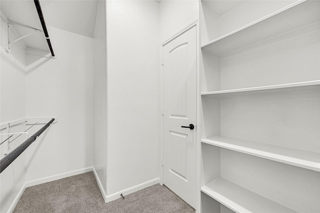 walk in closet featuring carpet