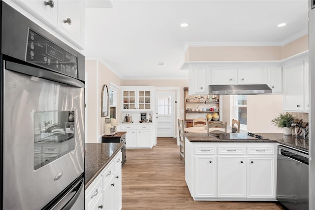 kitchen featuring crown molding, under cabinet range hood, dark stone countertops, appliances with stainless steel finishes, and white cabinetry