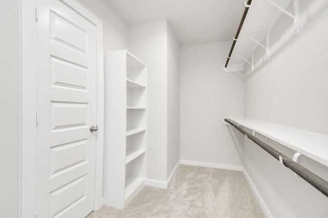 spacious closet with light carpet