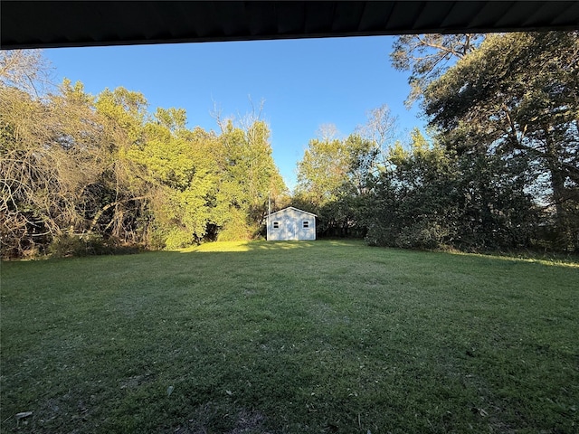 view of yard with a storage shed and an outbuilding