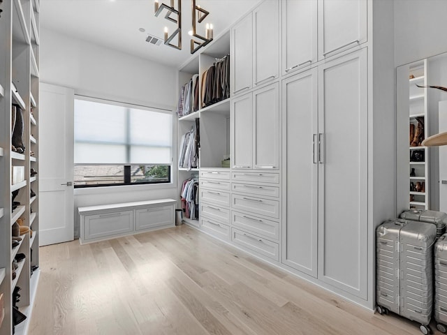 walk in closet with visible vents, light wood-type flooring, and an inviting chandelier