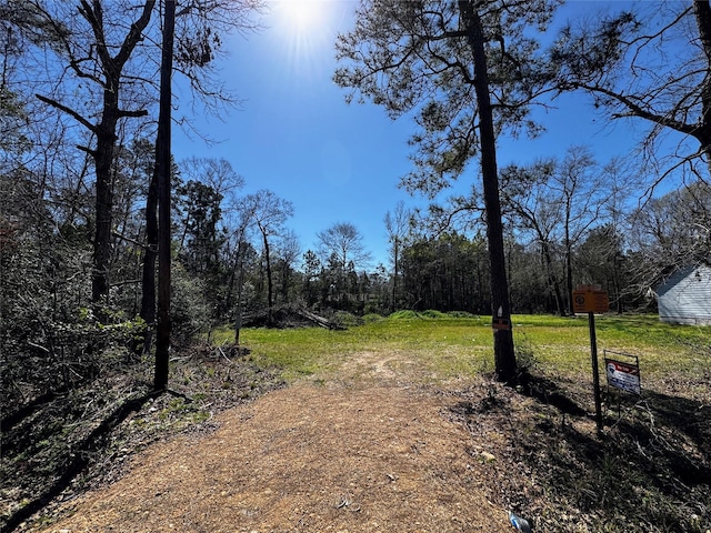 25446 Morgan Cemetery Rd, Cleveland TX, 77328 land for sale