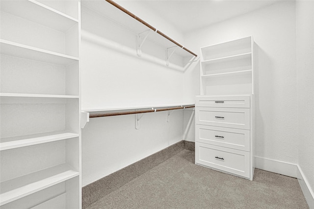 walk in closet featuring light colored carpet