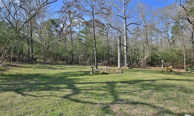 view of yard with a wooded view