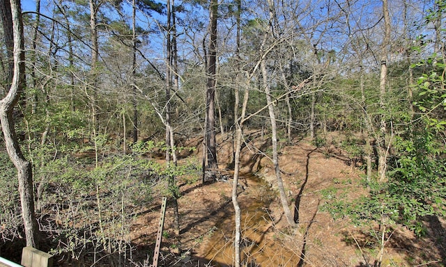 view of nature with a forest view