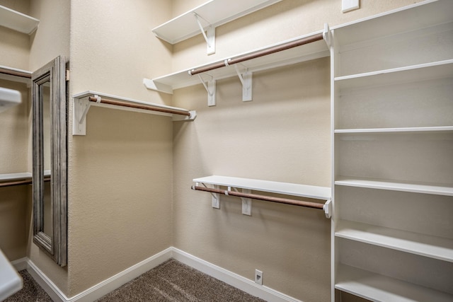 spacious closet with carpet