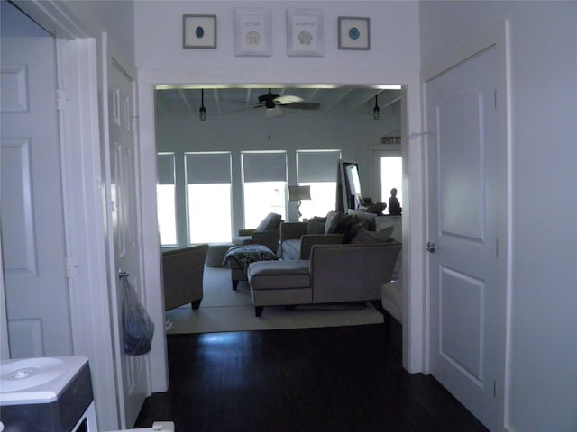 hallway featuring dark wood finished floors