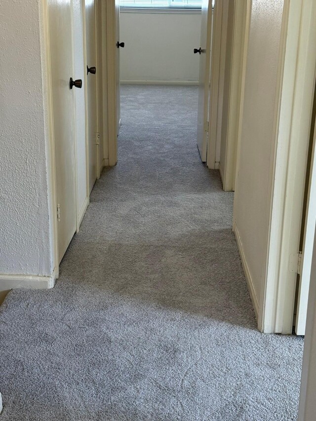 1727 Eastfield Dr, Missouri City, TX 77459 - hall featuring baseboards and light colored carpet