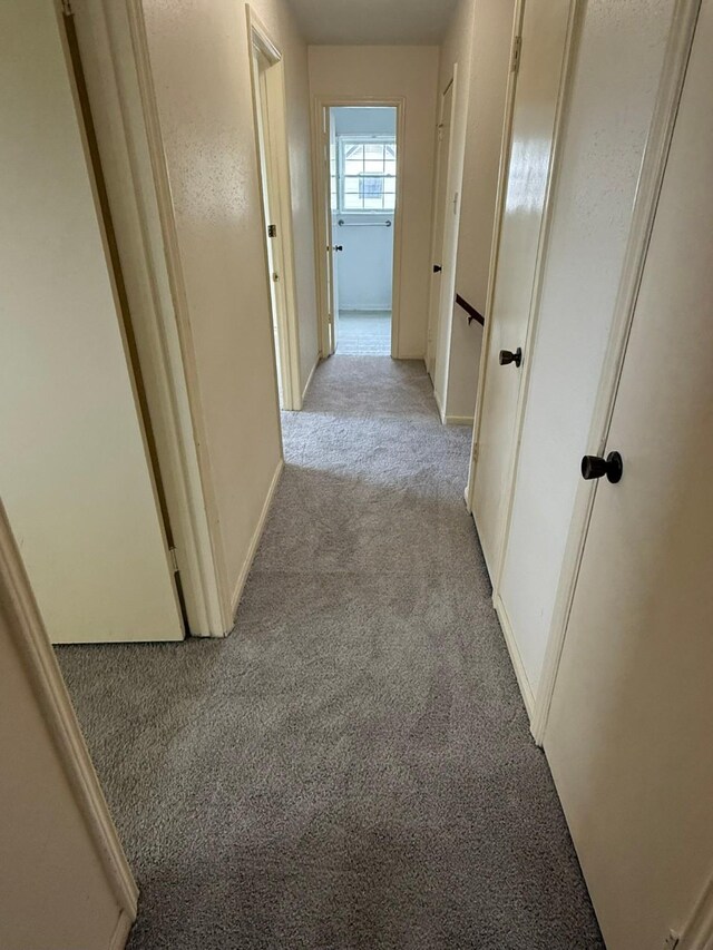 1727 Eastfield Dr, Missouri City, TX 77459 - hallway with baseboards and light colored carpet