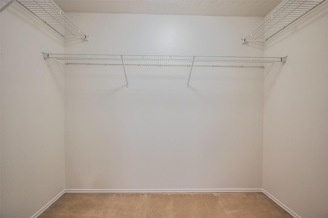 spacious closet featuring light colored carpet