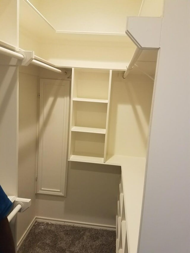 spacious closet featuring carpet floors