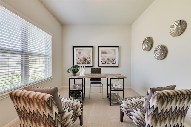 office area featuring light colored carpet and baseboards