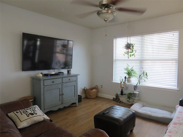 living room with ceiling fan, baseboards, and light wood-style flooring