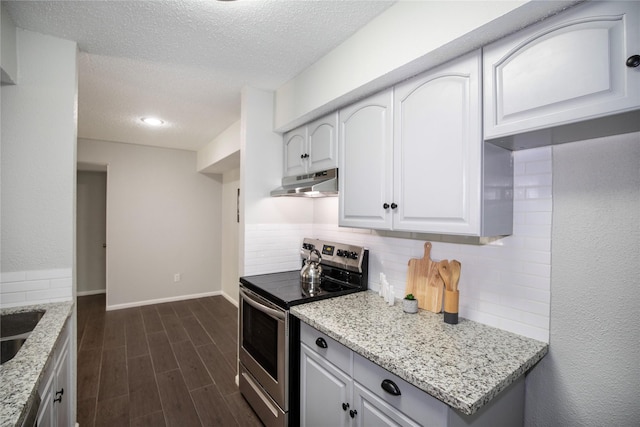 kitchen featuring under cabinet range hood, electric range, tasteful backsplash, and wood finish floors