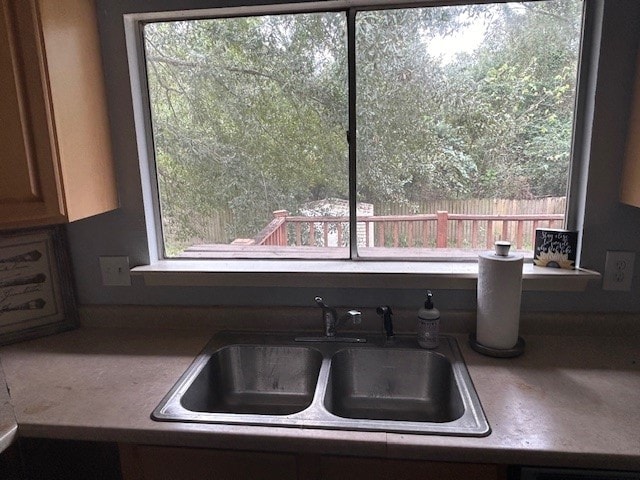 kitchen featuring a sink