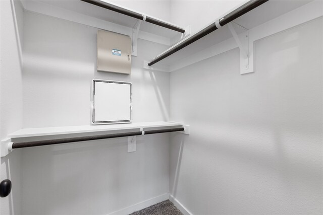 spacious closet with carpet flooring