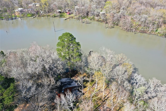 bird's eye view featuring a view of trees and a water view