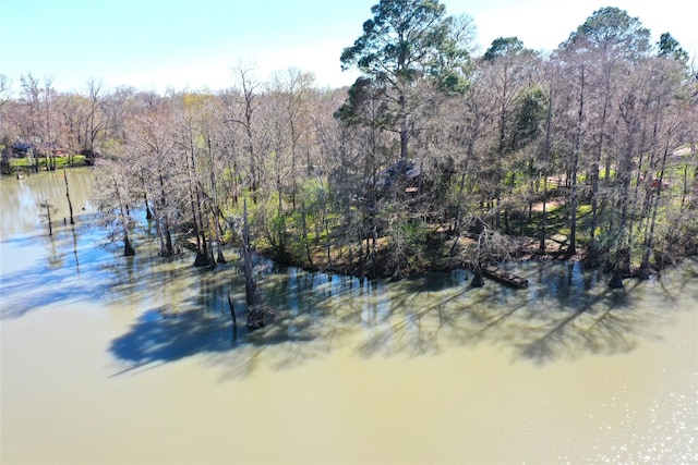 view of water feature with a forest view