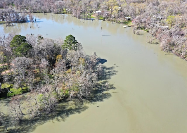 drone / aerial view with a forest view and a water view