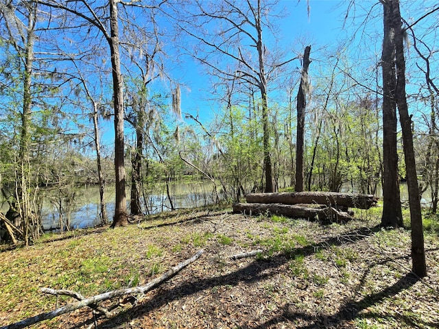 view of yard with a forest view