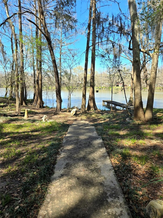 view of community featuring a boat dock and a water view