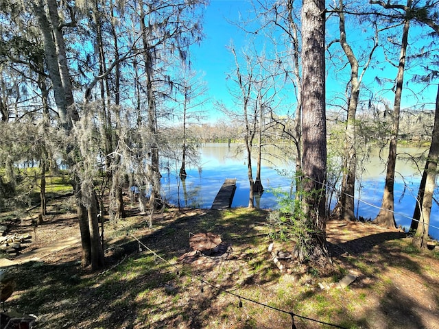 view of water feature with a dock