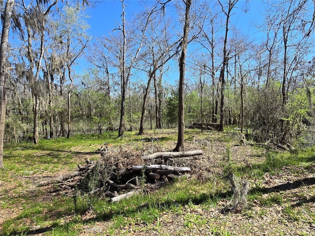 view of local wilderness featuring a forest view