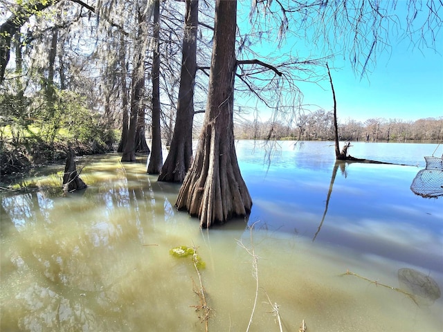 water view