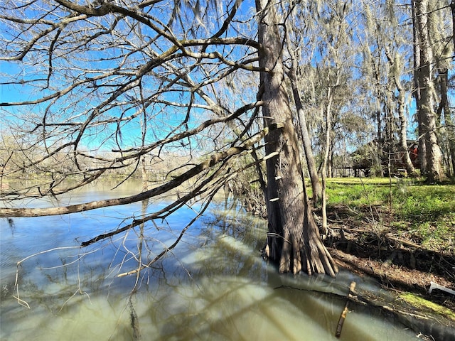 view of landscape featuring a water view