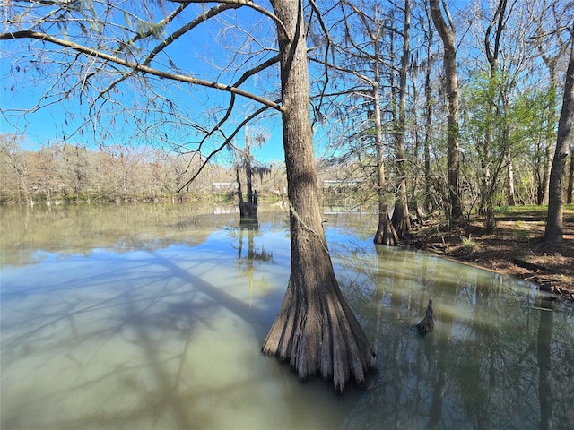 view of water feature