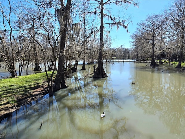 water view