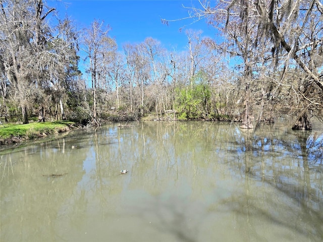 water view with a forest view